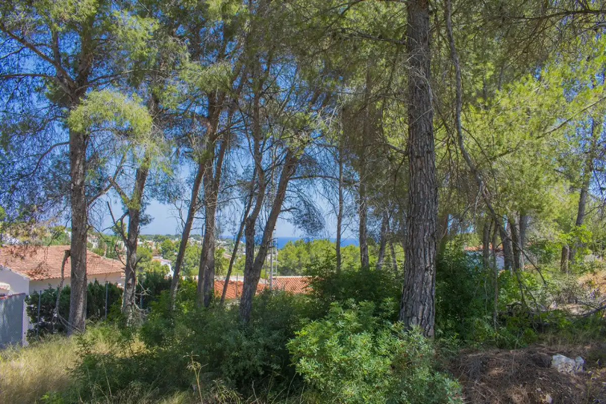 Wohnbaugrundstück zum Verkauf in La Fustera, imagen 8