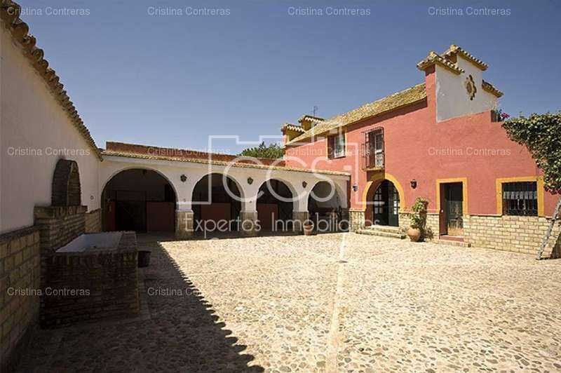 Exterior view of Country house for sale in Alcalá de Guadaira  with Private garden and Swimming Pool