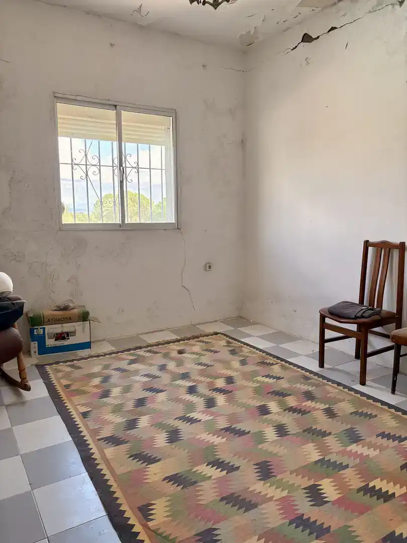 Sala d'estar de Casa o xalet en venda en Carmona amb Aire condicionat, Jardí privat i Traster