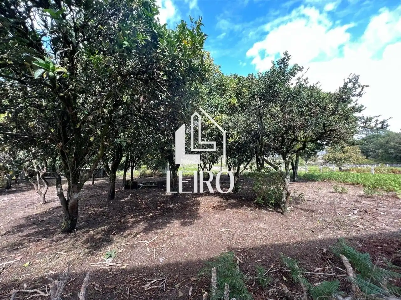 Casa o chalet en venta en Vilagarcía de Arousa con Jardín privado y Terraza