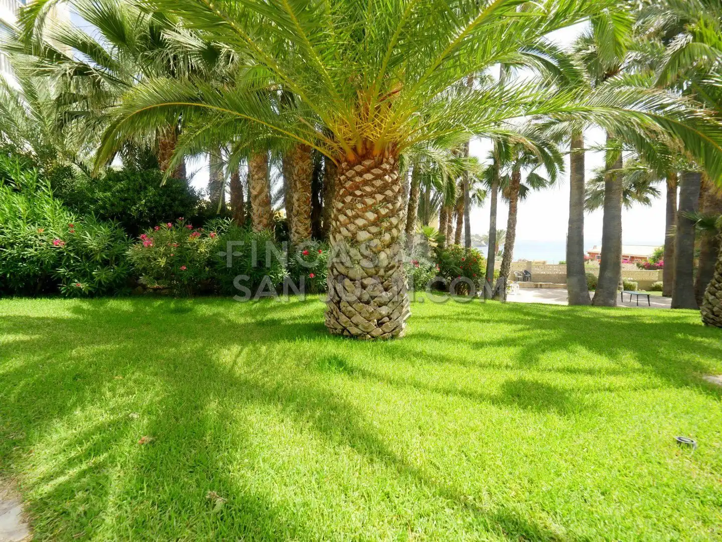 Garden of Flat for sale in El Campello