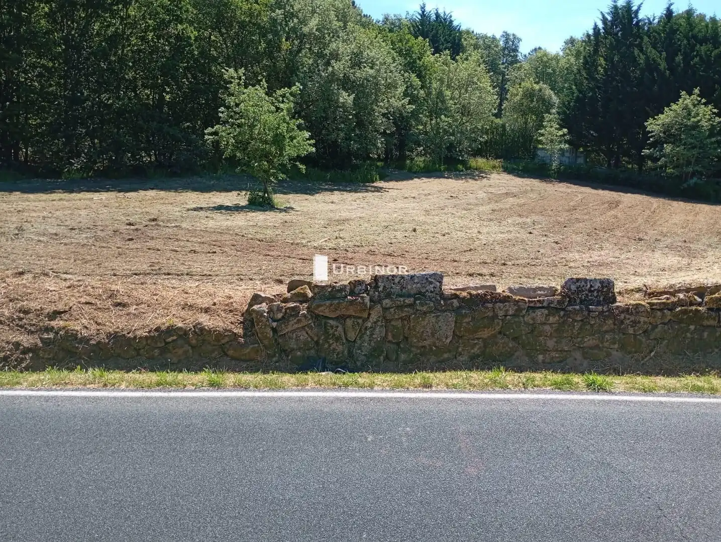 Terreni e lotti in vendita a O Pereiro de Aguiar, imagen 4