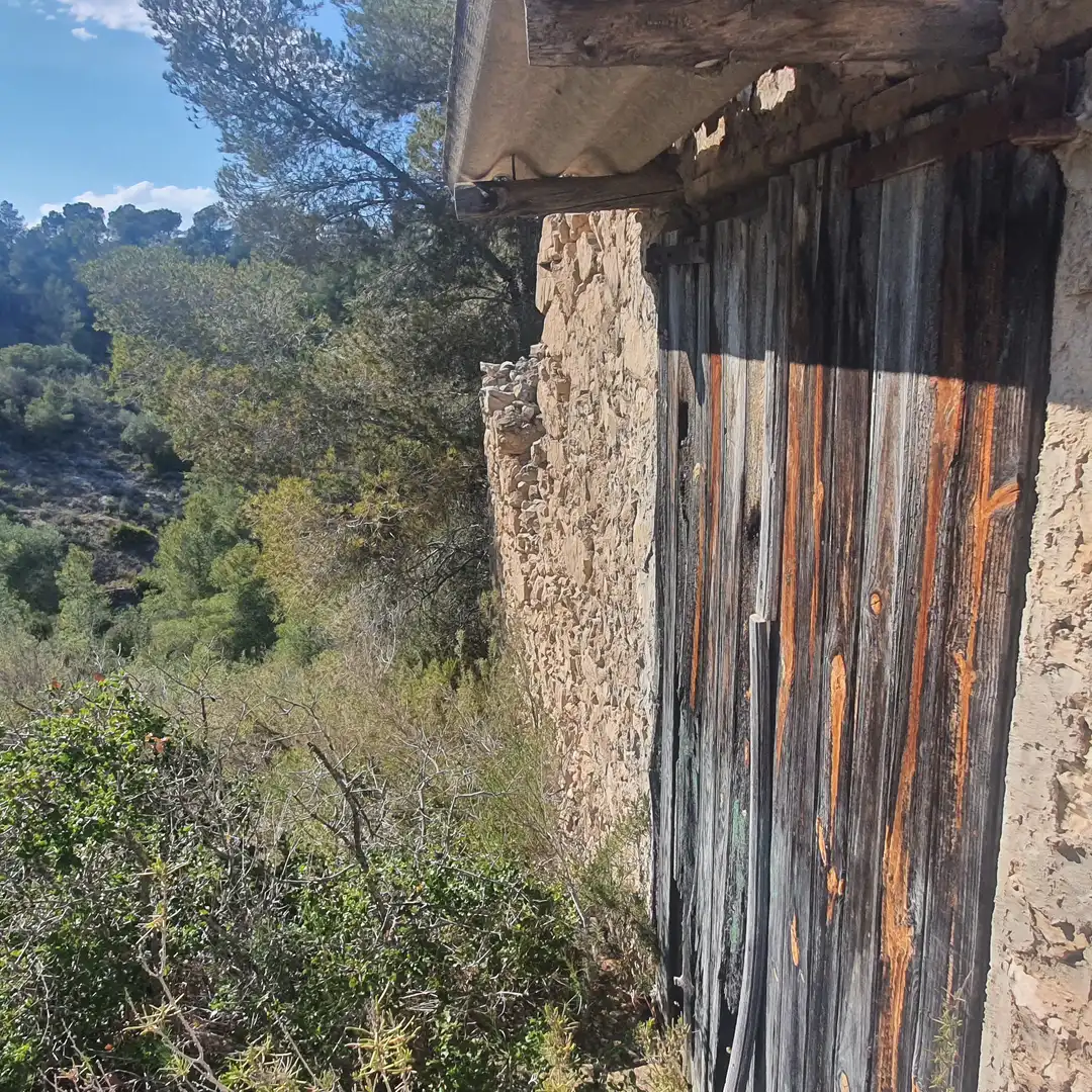 Terrain rustique à vendre à Benifallet, imagen 21