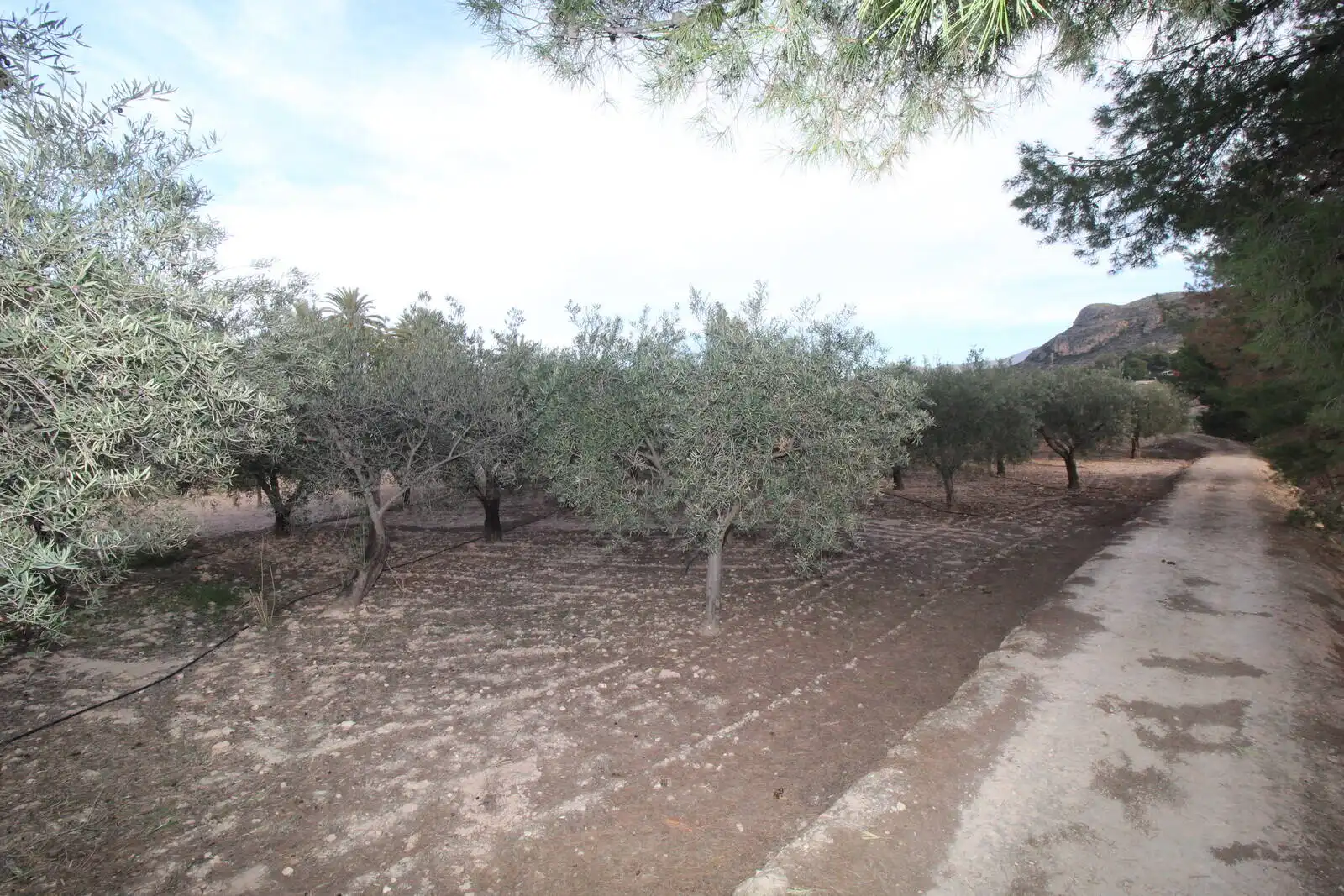 Casa amb terrassa en venda a Campo Alto - Club de Campo, imagen 16