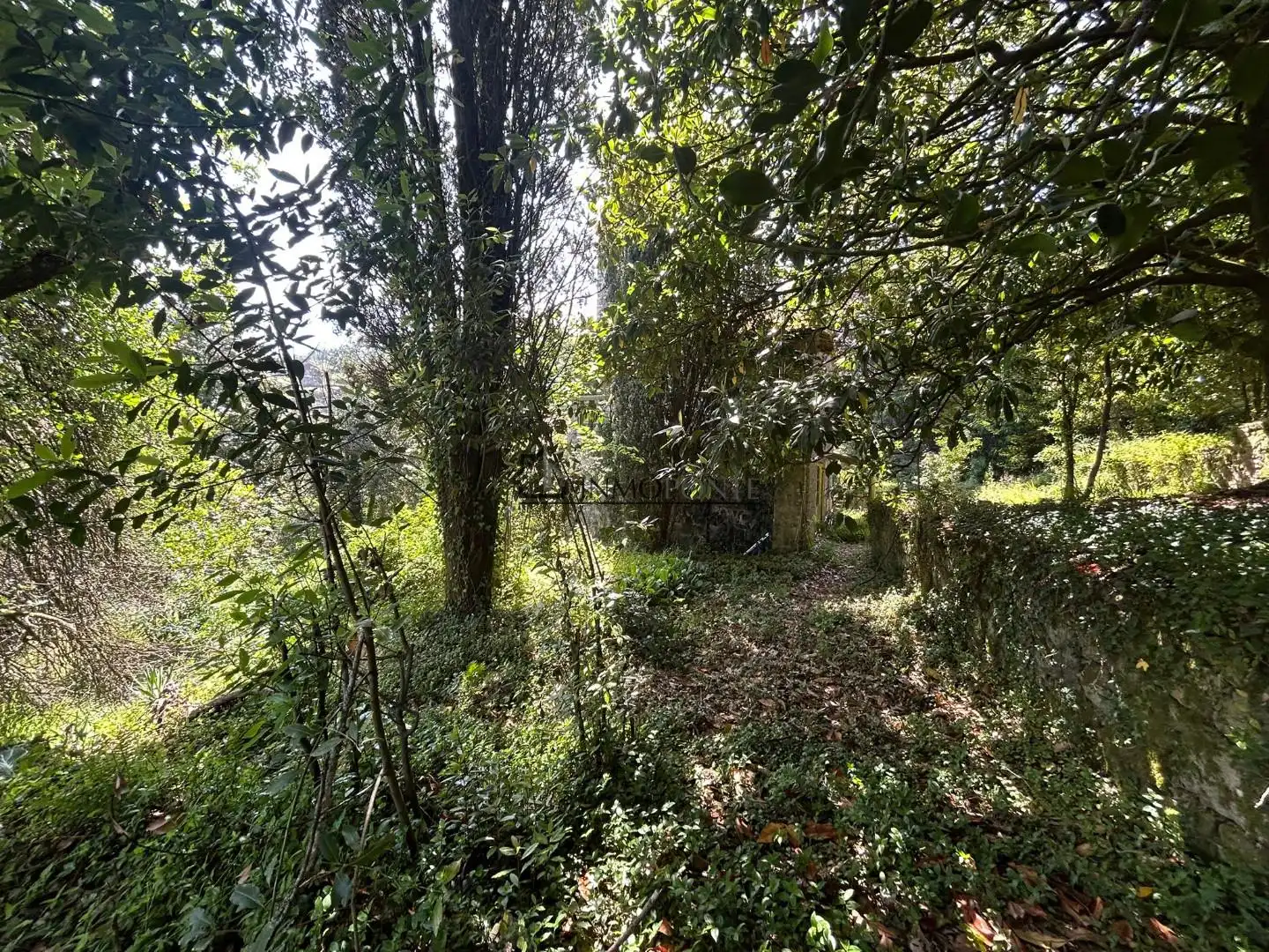 Casa o chalet en venta en Ponteareas con Jardín privado y Terraza