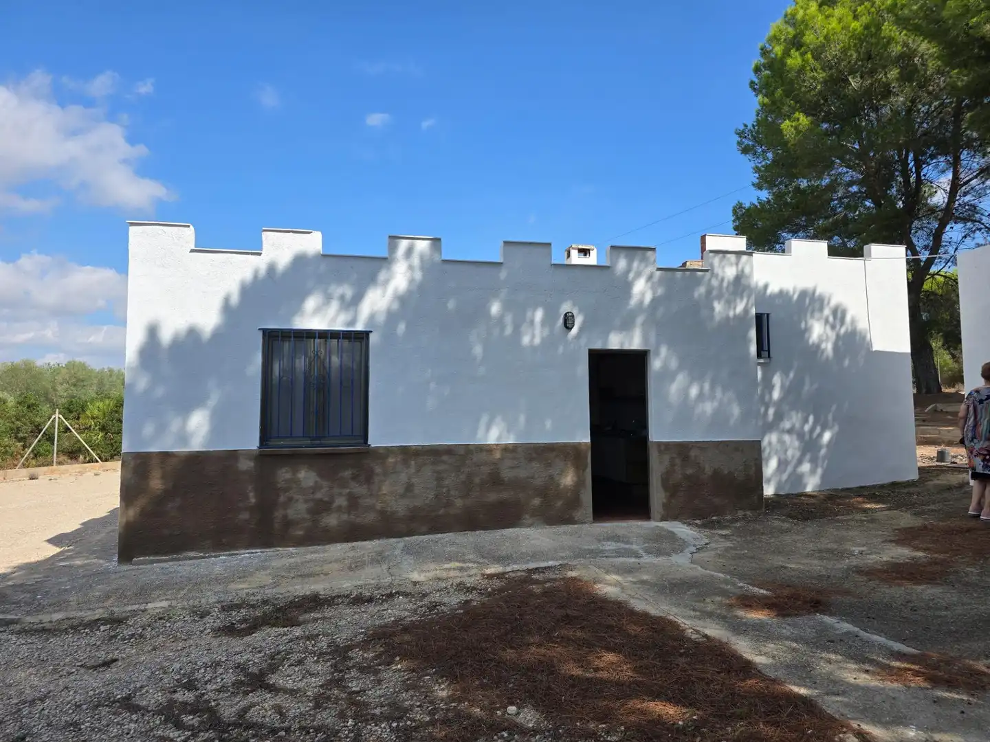 Vista exterior de Finca rústica en venta en Freginals con Jardín privado