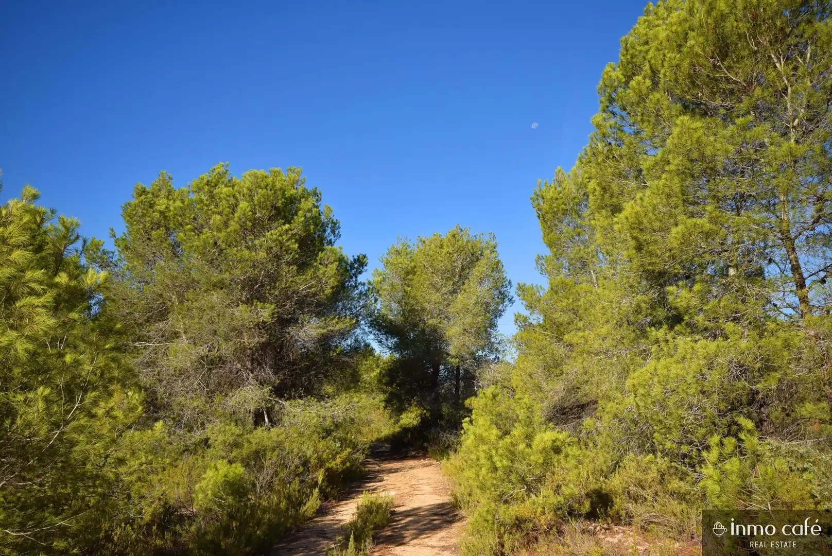 Terreny rústic en venda a L'Alcúdia de Crespins, imagen 27