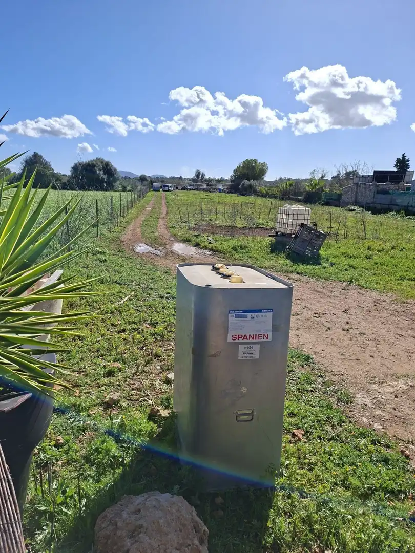 Terreno rústico en venta en Santa Eugènia, imagen 5