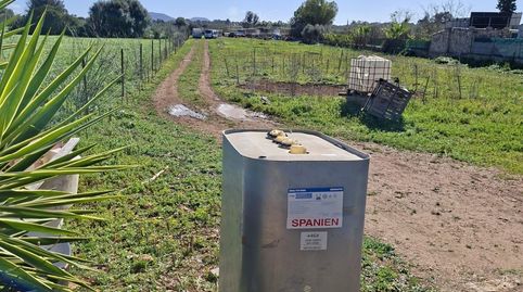 Se vende finca rústica en Santa Eugenia, immagine 5