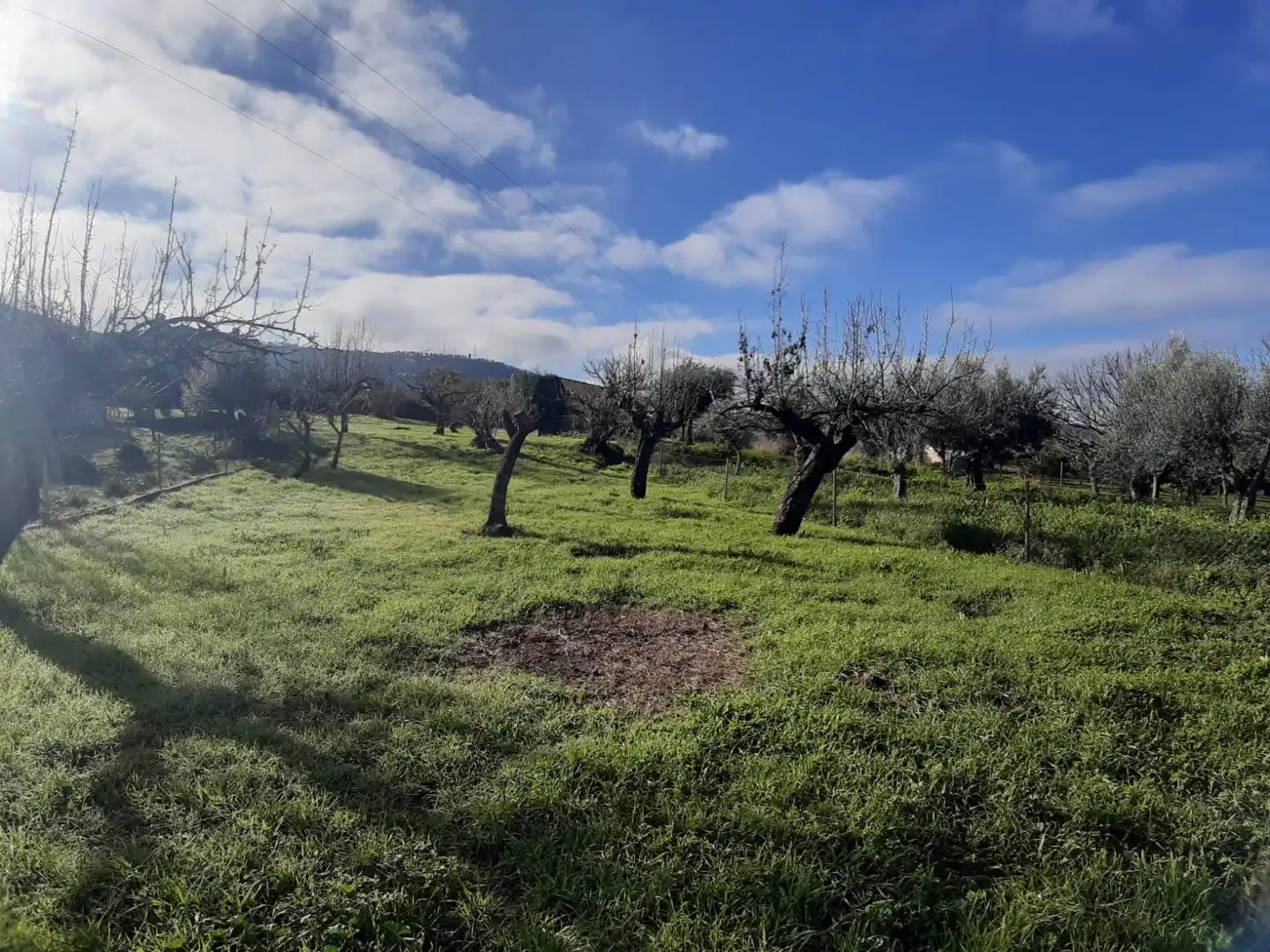 Terreni e lotti in vendita a Cañaveral, imagen 4