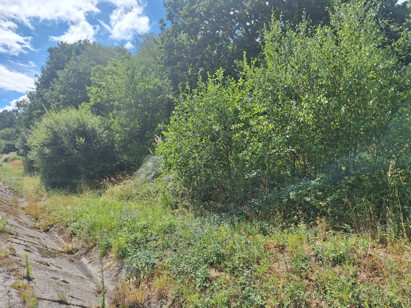 Grundstücke zur Miete in Culleredo