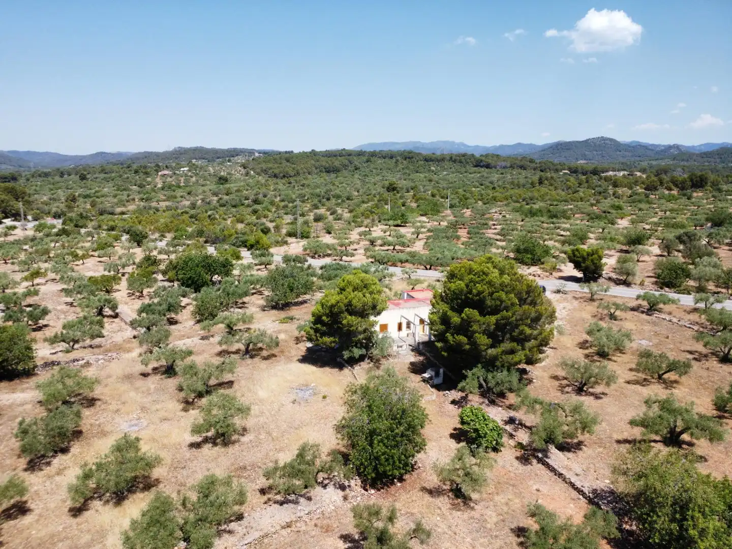 Maison rustique à vendre à L'Ametlla de Mar pueblo, imagen 28