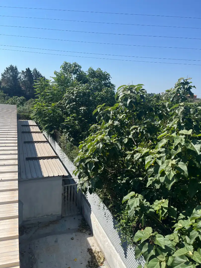 Wohnbaugrundstück zum Verkauf in Camí De Les Borges Del Camp, imagen 16