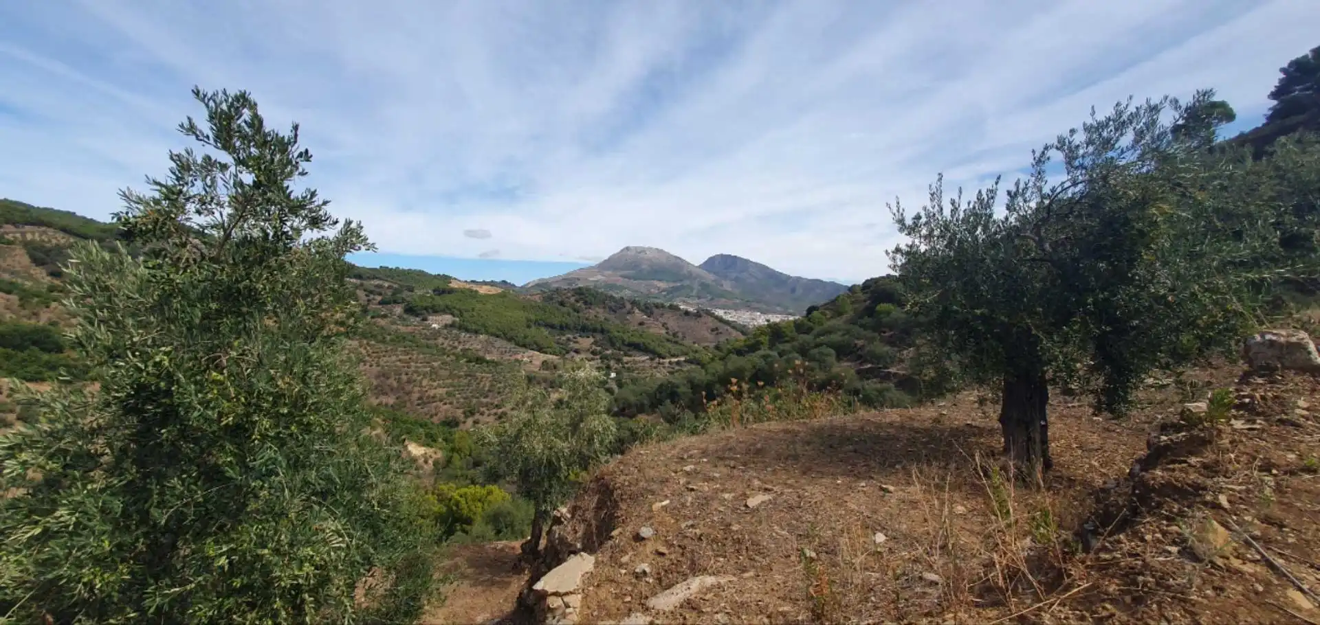Terreni e lotti in vendita a Yunquera, imagen 9