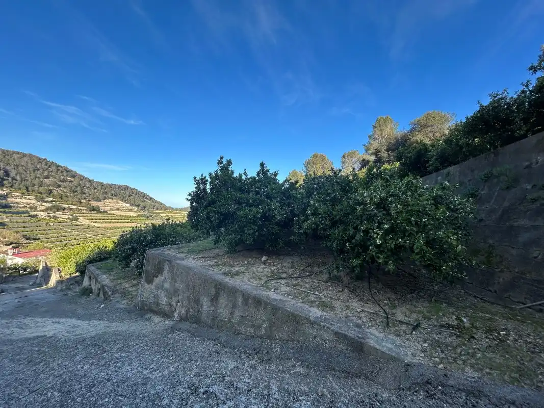 Finca rústica en venda en Oliva amb Moblat