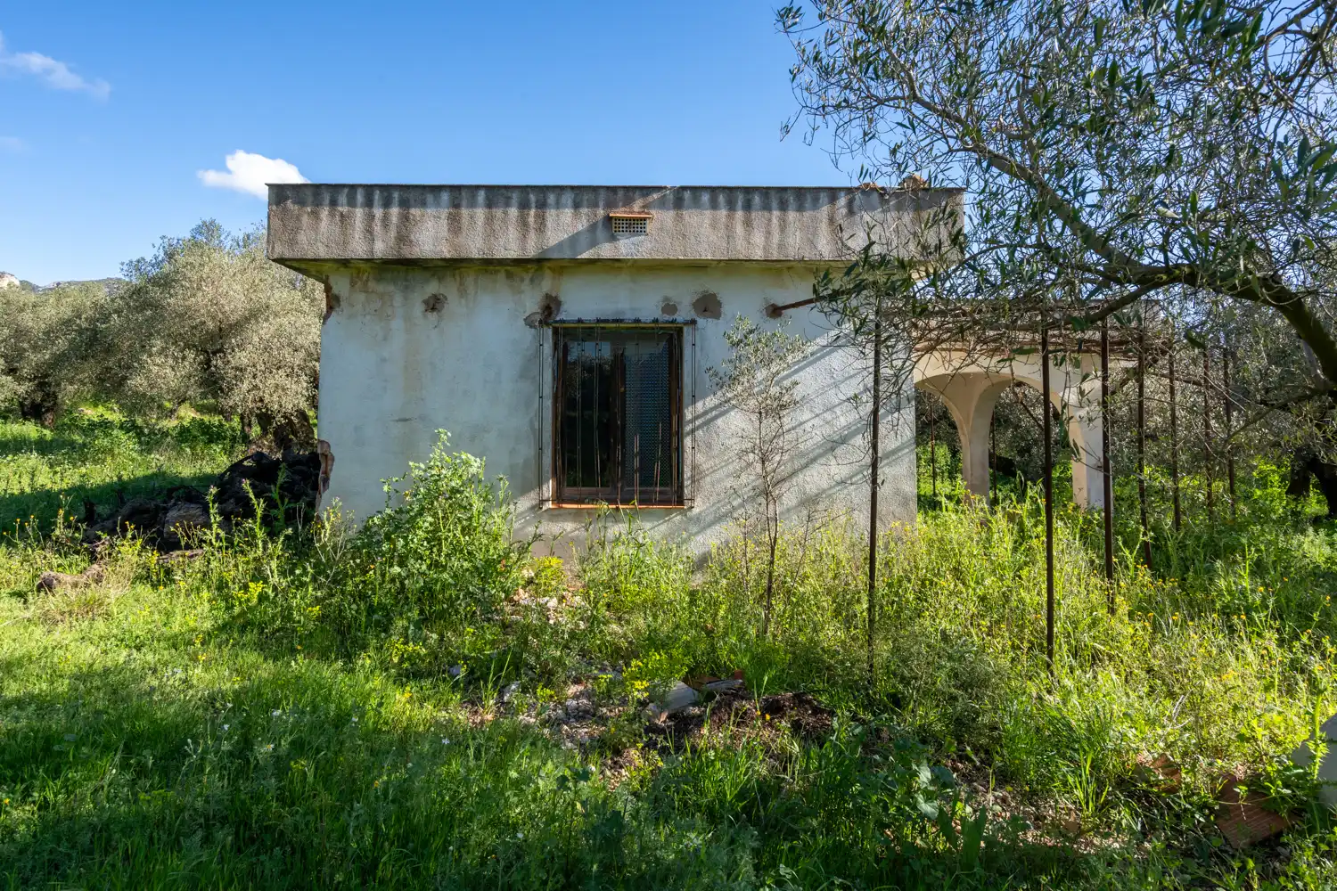 Vista exterior de Terreno en venta en Rossell, Castellón
