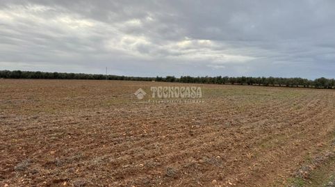 Foto 3 von Country house zum Verkauf in Écija, Sevilla