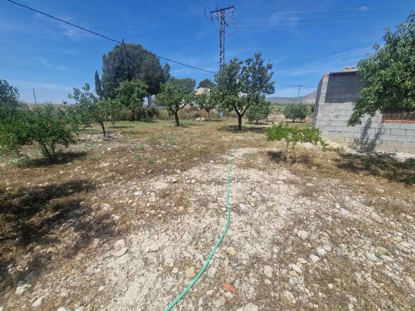 Rural land for sale in RM-A7 119, imagen 10