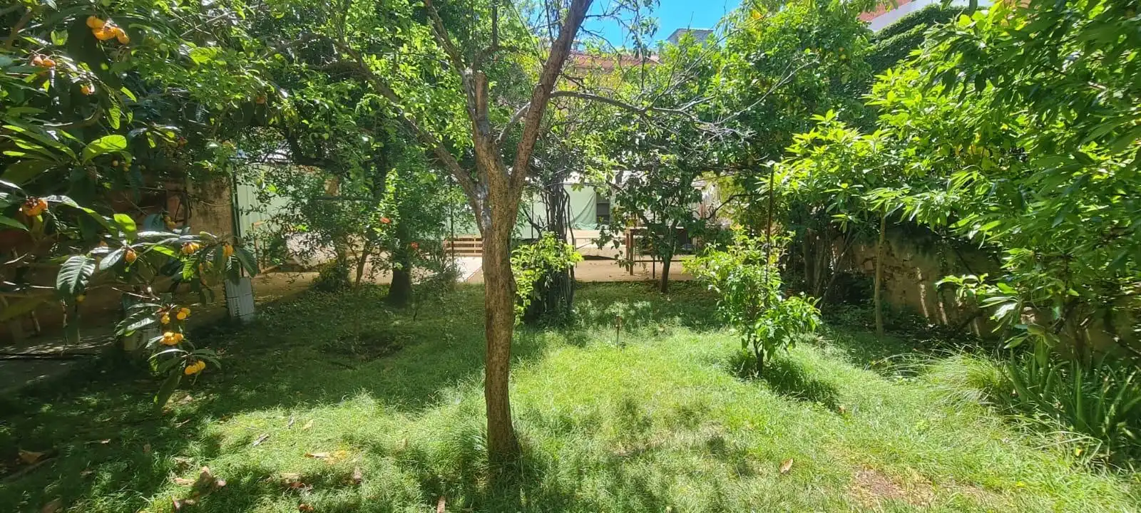 Local en venta en Barcelona