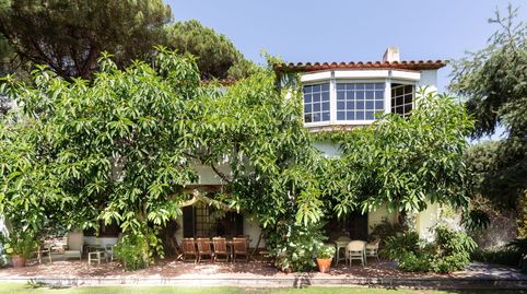 Finca mediterránea con jardín y apartamento independiente en Sant Andreu de Llavaneres, immagine 3