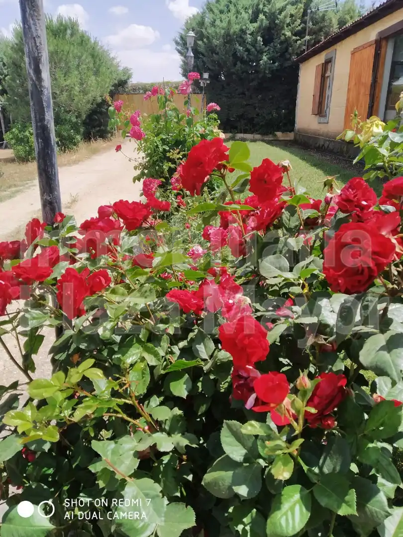 Jardín de Casa o chalet en venta en Villares de la Reina con Calefacción, Jardín privado y Terraza