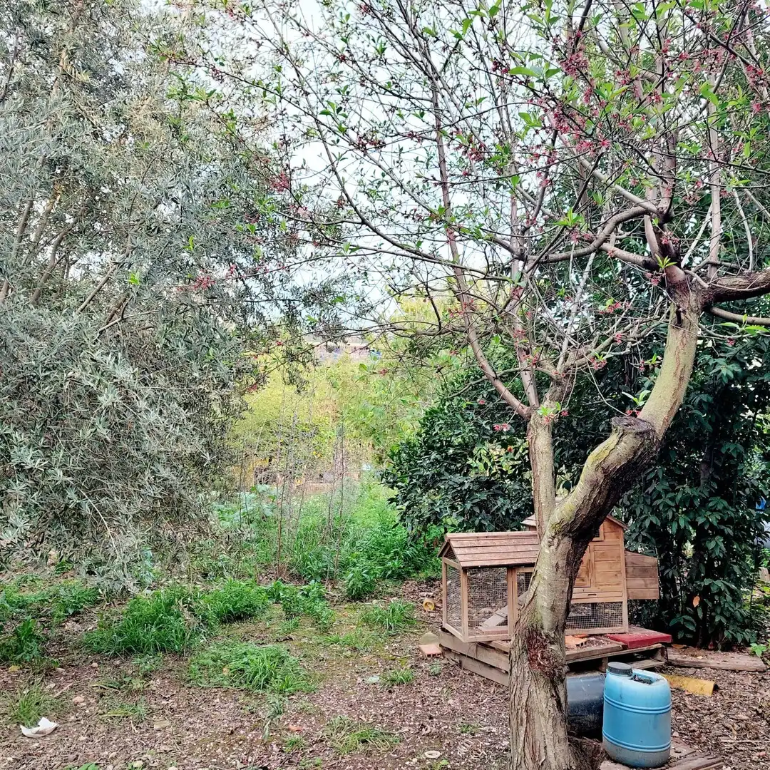 Garden of Houses for sale in Murcia  with Air Conditioner, Heating and Private garden