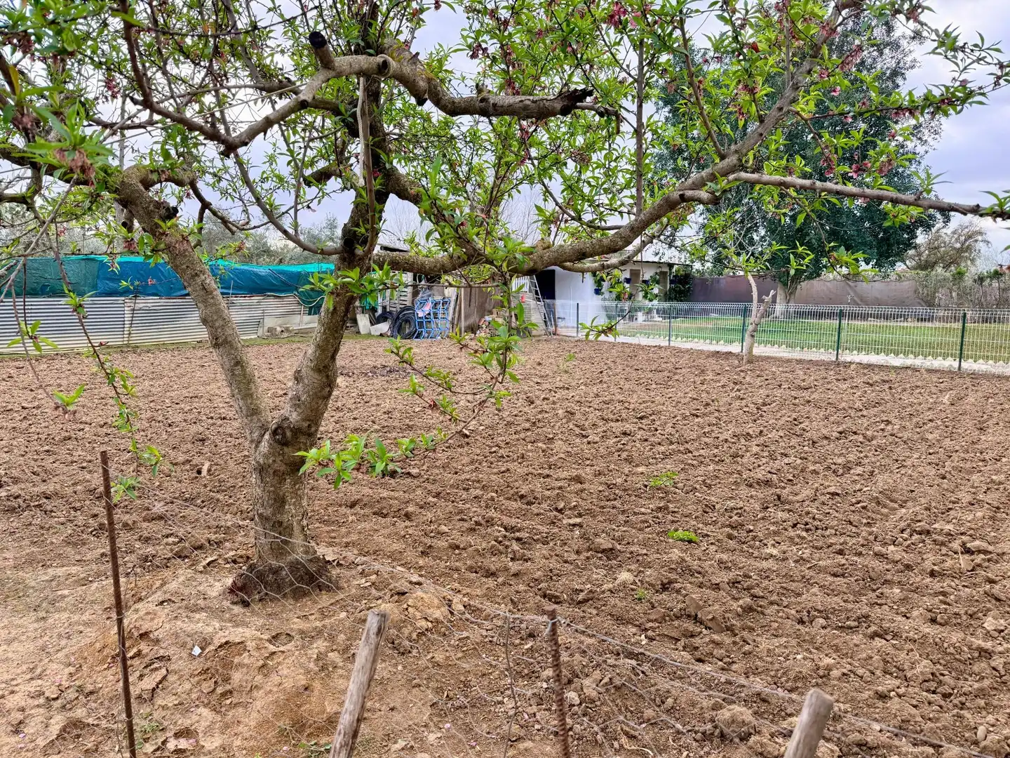Casa o chalet en venta en Carmona con Aire acondicionado, Jardín privado y Trastero