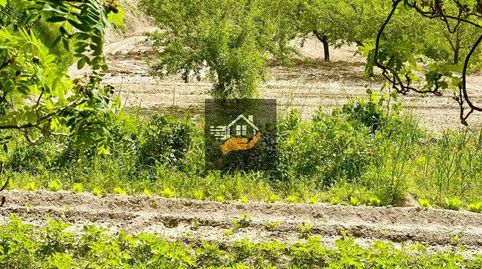 Foto 4 de Finca rústica en venta en Vélez-Blanco, Almería