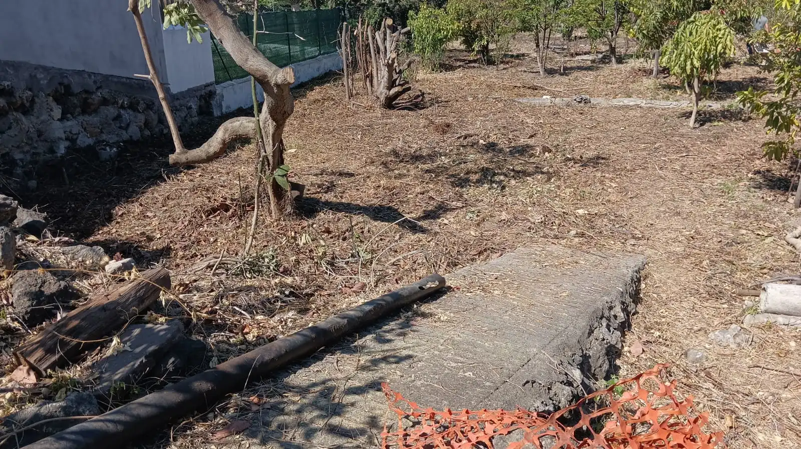 Rural land for sale in San Felipe - San Marcos - Las Cañas, imagen 19