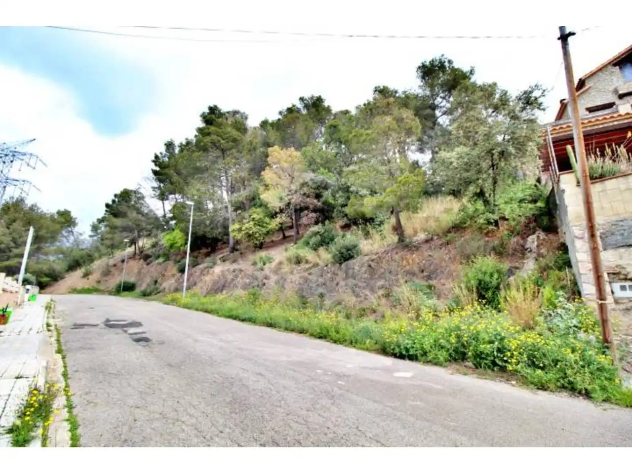 Rural land for sale in Calle Llosa, imagen 16
