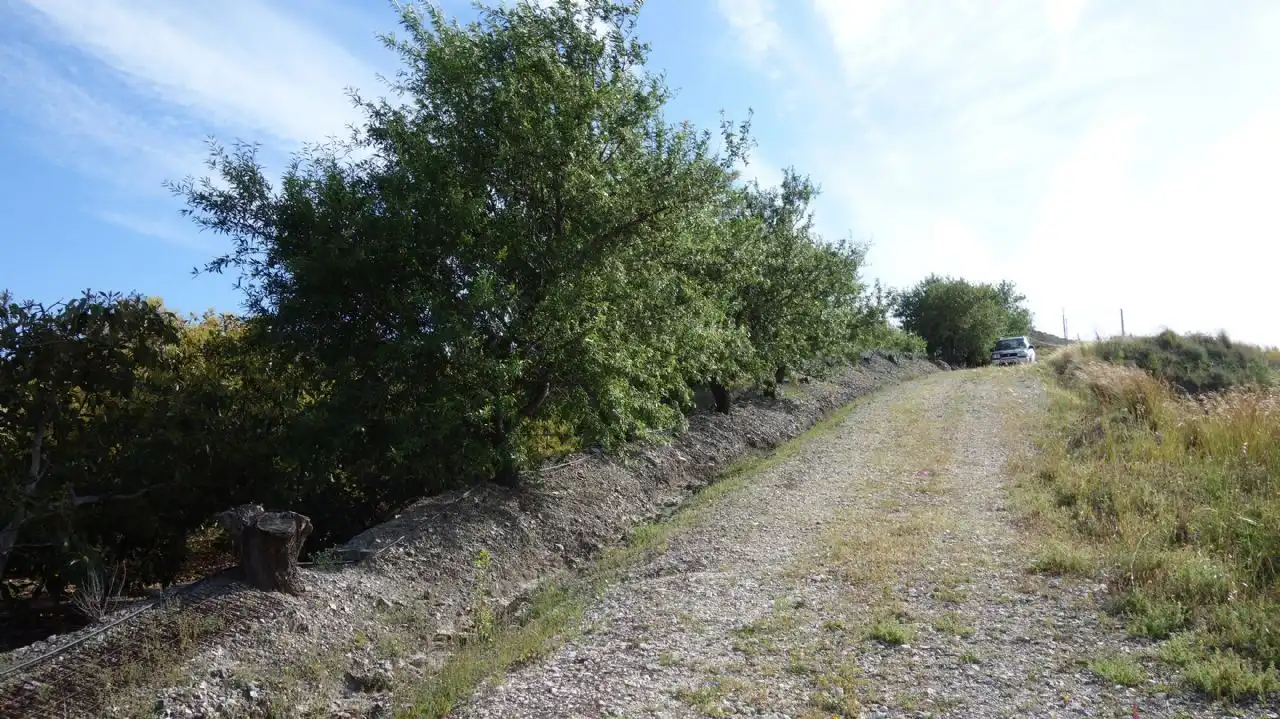 Finca rústica en venda en Molvízar