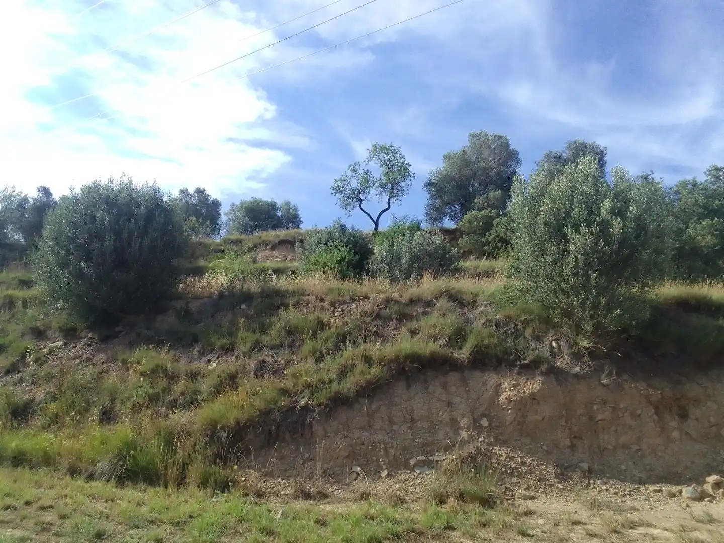 Terreno rustico in vendita a Sant Bernat O, imagen 2