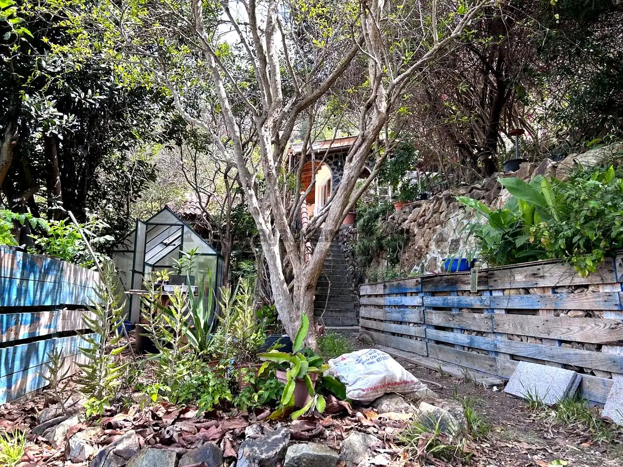 Jardín de Finca rústica en venta en Vallehermoso con Aire acondicionado, Calefacción y Jardín privado