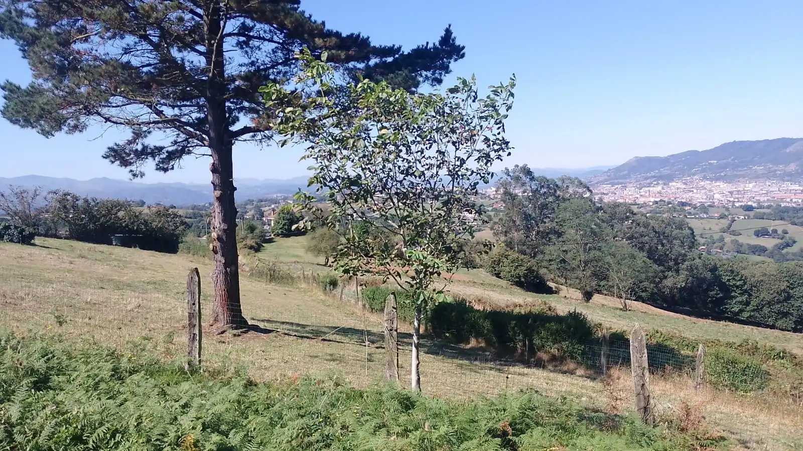 Terreny residencial en venda a Lugar Llovera 17A, imagen 14