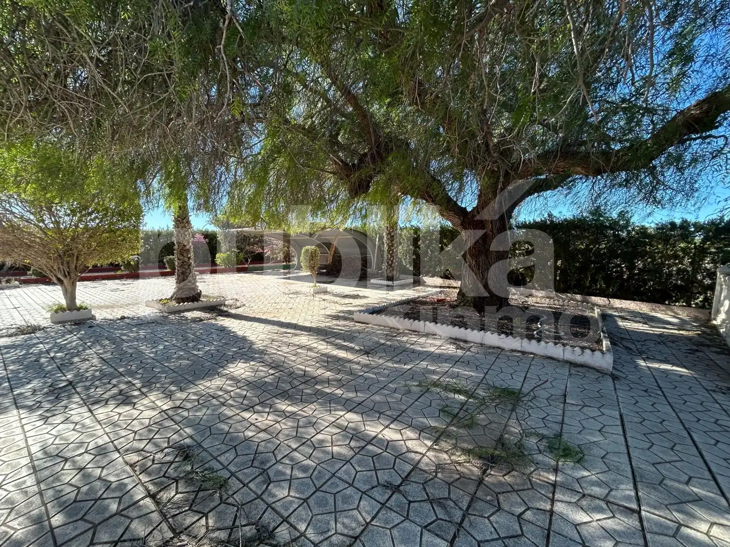 Jardí de Finca rústica en venda en Elche / Elx amb Terrassa, Traster i Piscina
