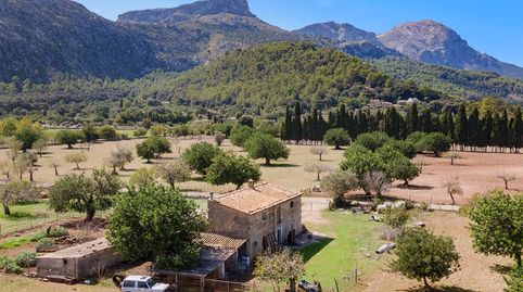 Foto 3 de Finca rústica en venta en Pollença Poble, Pollença