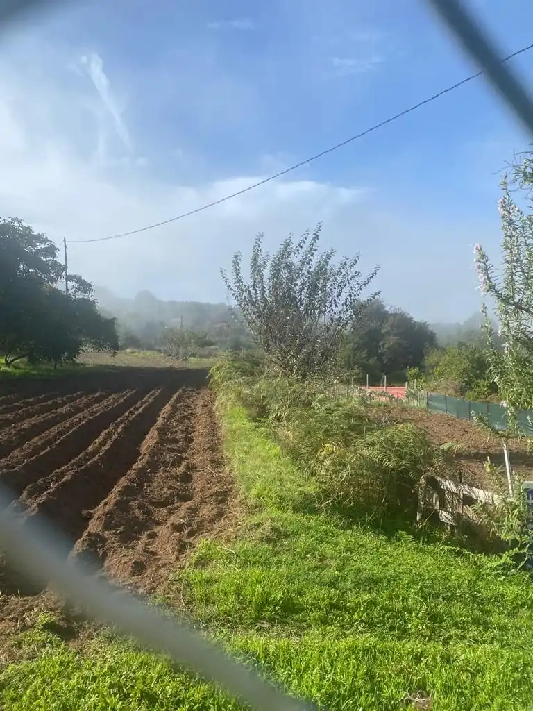 Terreny en venda en Icod de los Vinos