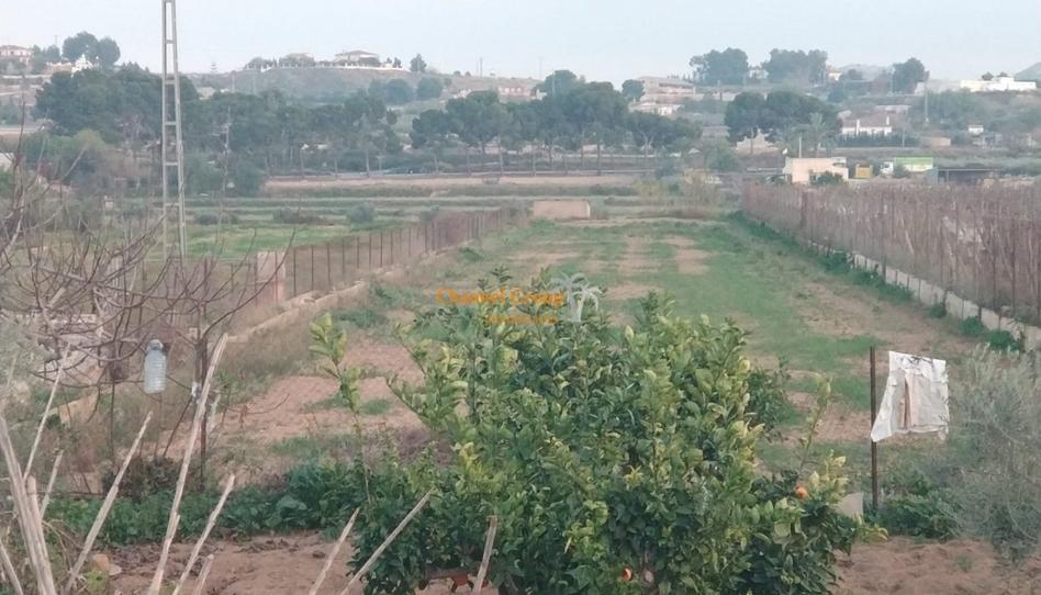 Photo 1 of House or chalet for sale in Las Fuentes - Los Cipreses, Alicante