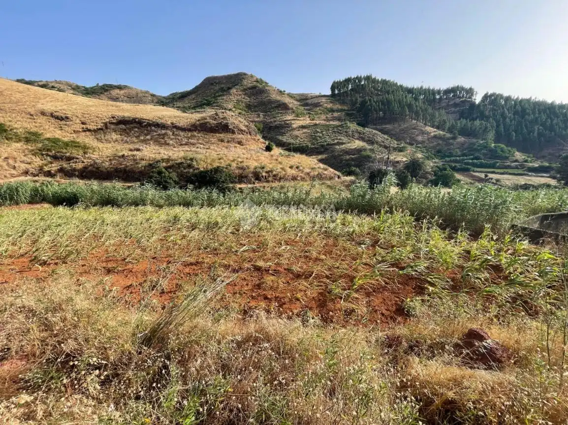 Terreno en venta en Gáldar