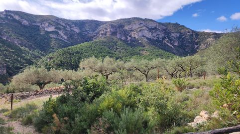 Finca Rúst. en venta en Senia La., imatge 4