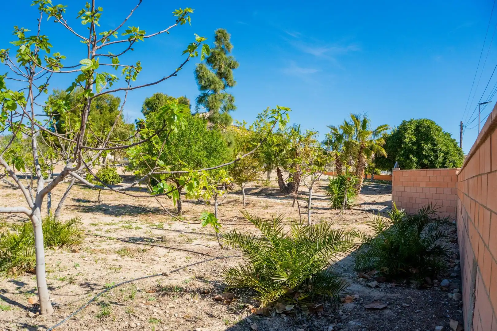 Casa o xalet en venda en Mutxamel amb Aire condicionat, Terrassa i Traster