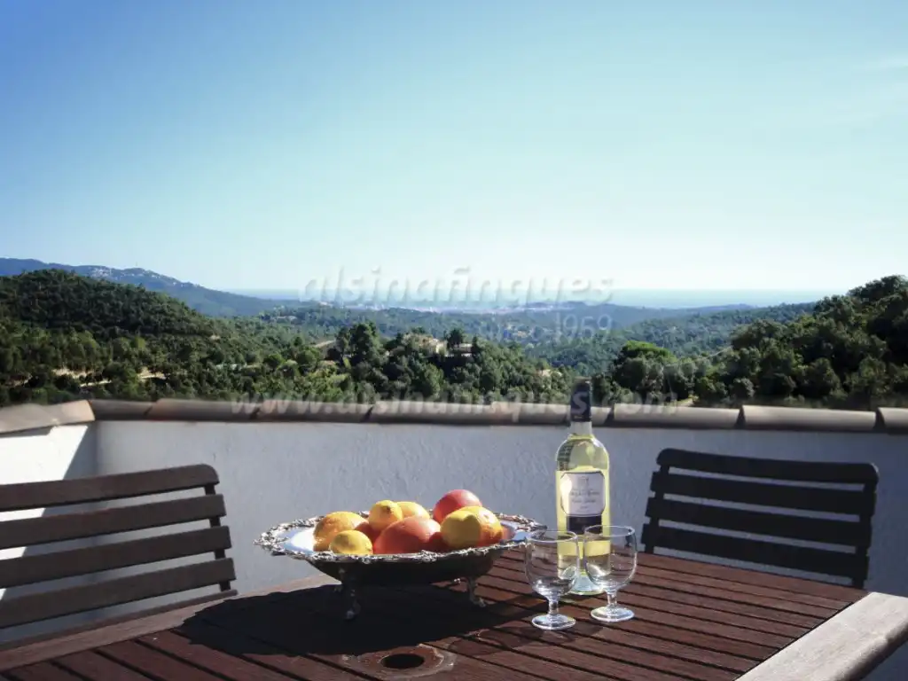 Villa mit Pool zum Verkauf in Camí de la Plana, imagen 32