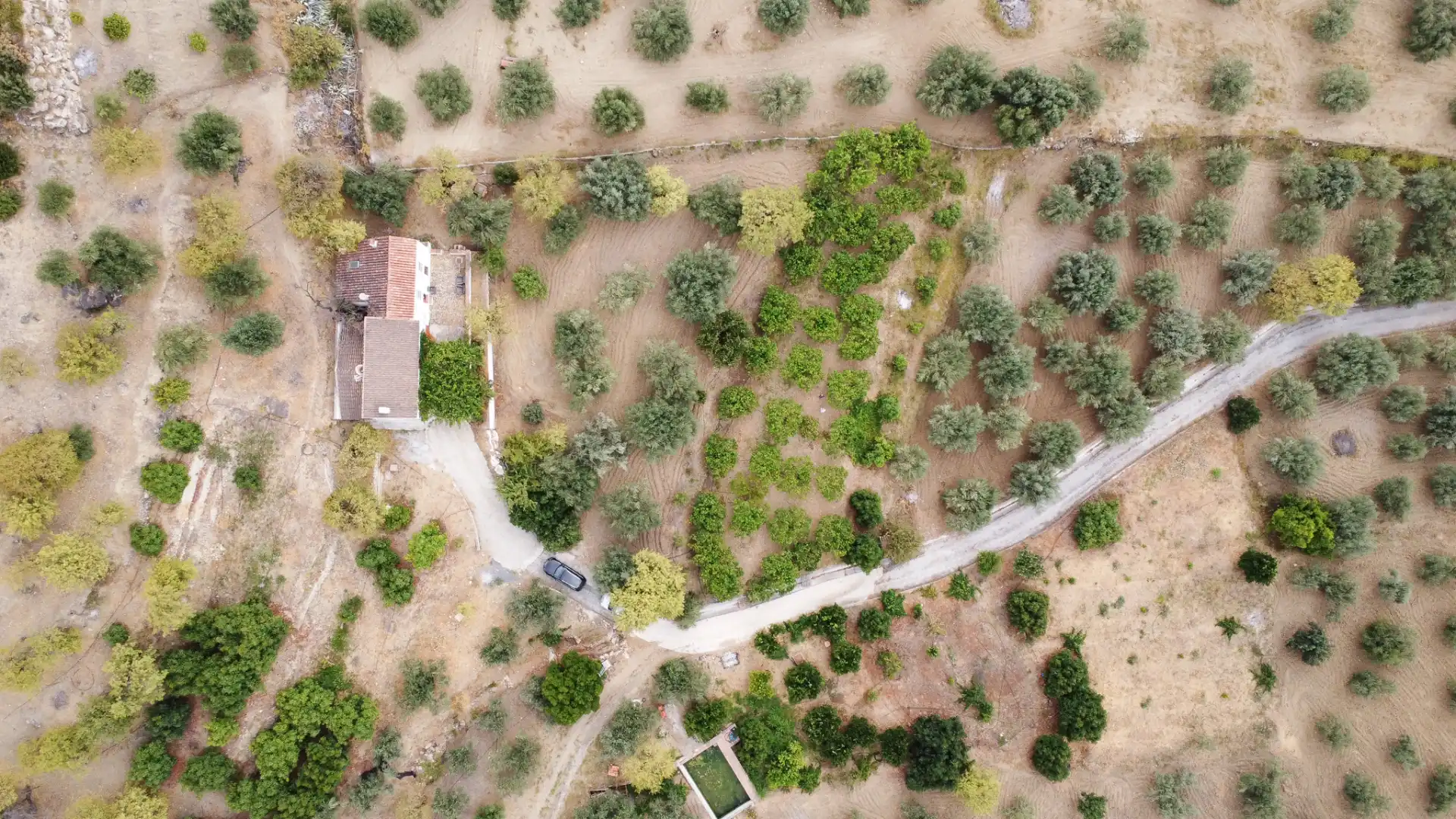 Rural land for sale in Monda, imagen 33