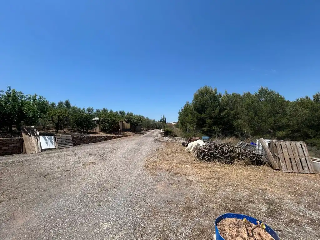 Finca rústica en venta en Sot de Ferrer