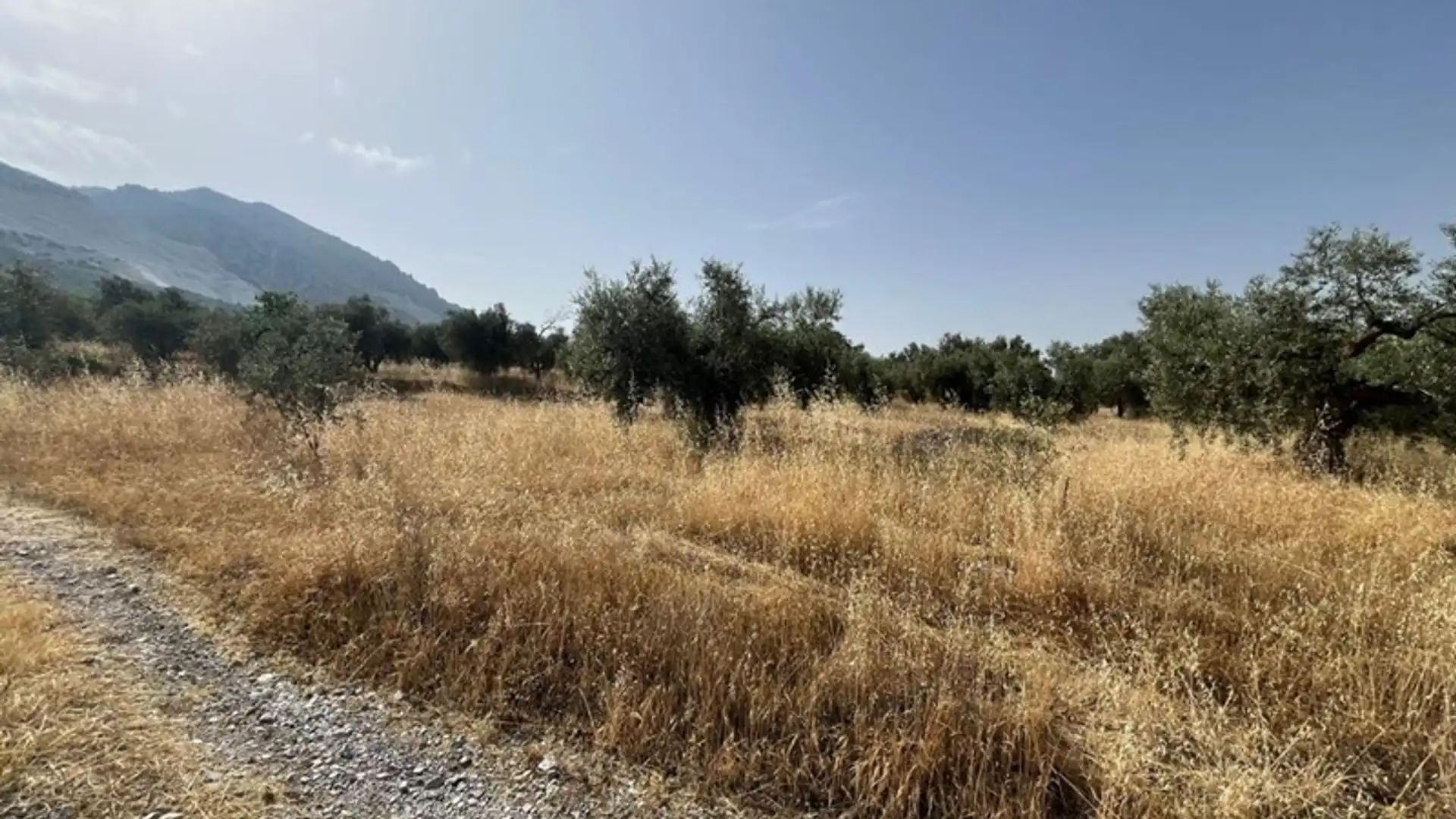 Terreno en venta en Dúrcal