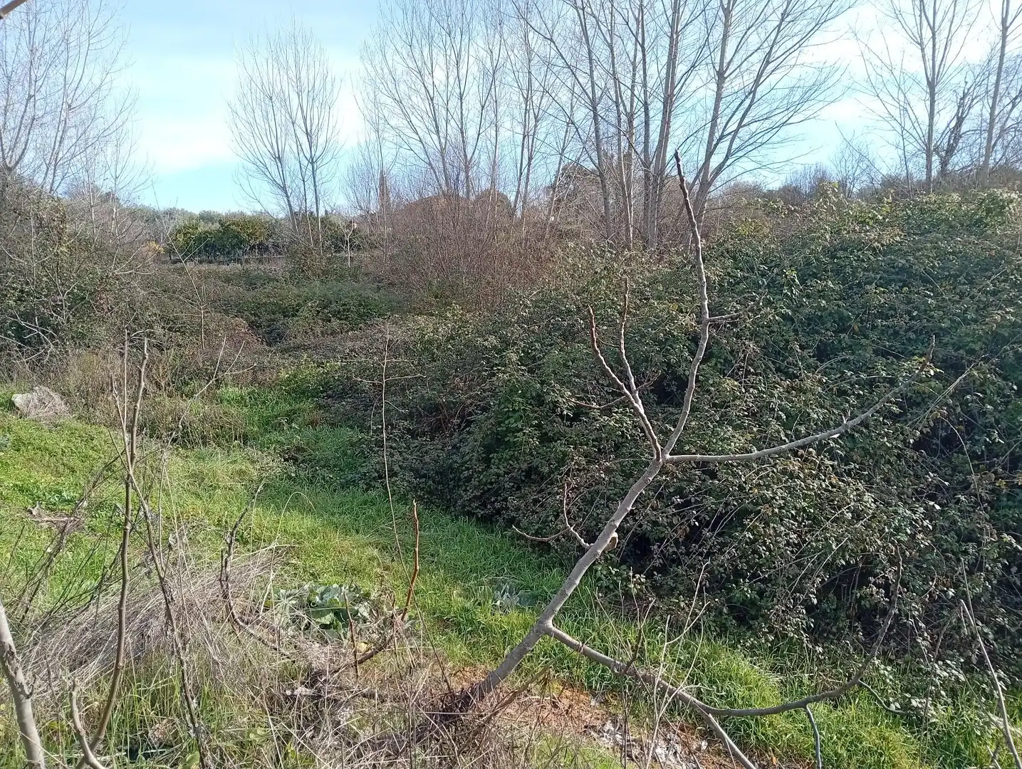 Terreni e lotti in vendita a Valverde de la Vera, imagen 7