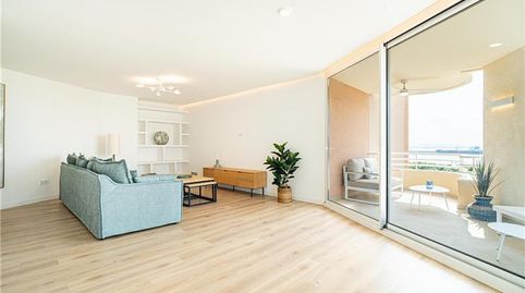 Foto 4 de Piso en venta en El Terreno, Palma de Mallorca