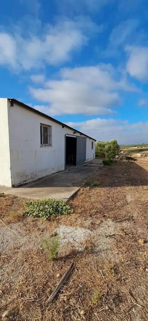 Casa rústica en venda a Arcos de la Frontera, imagen 22