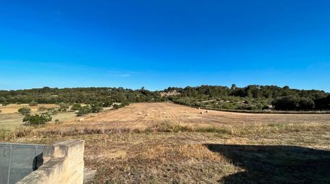 Photo 4 of Country house for sale in Camí D'es Rafal Aixat, Sant Joan, Illes Balears