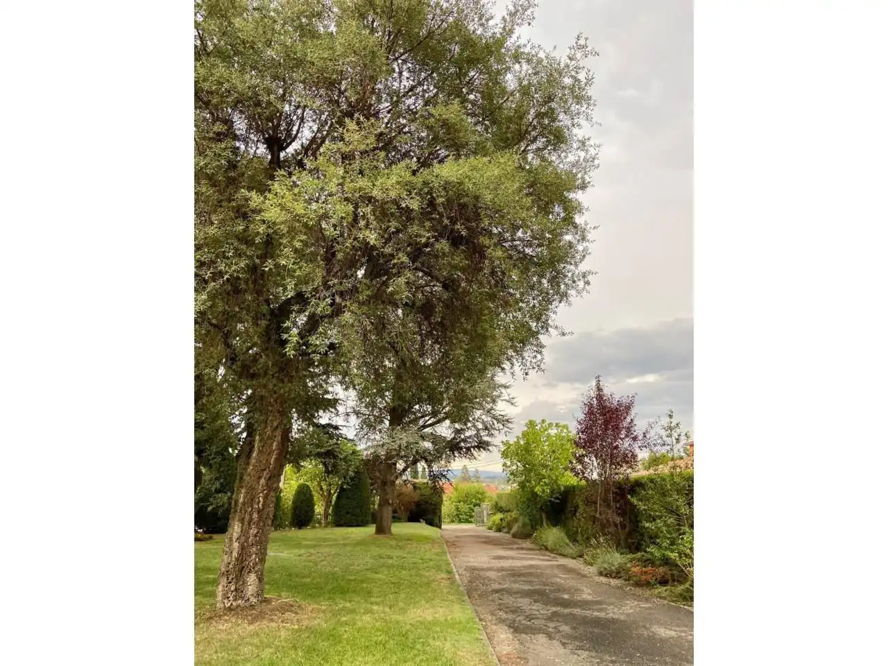 Jardí de Casa o xalet en venda en Torelló amb Calefacció, Jardí privat i Terrassa